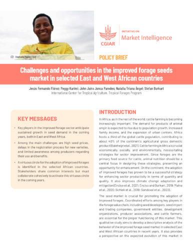 Challenges and opportunities in the improved forage seeds market in selected East and West African countries