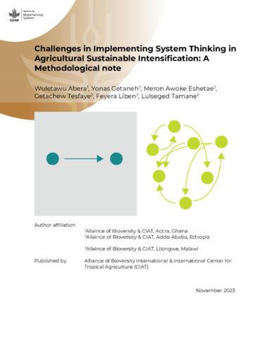 Challenges in implementing system thinking in agricultural sustainable intensification - A methodological note