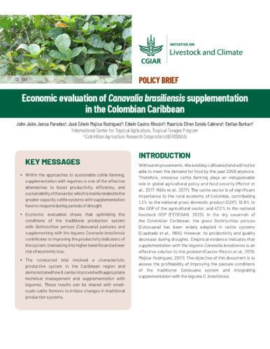 Economic evaluation of Canavalia brasiliensis supplementation in the Colombian Caribbean