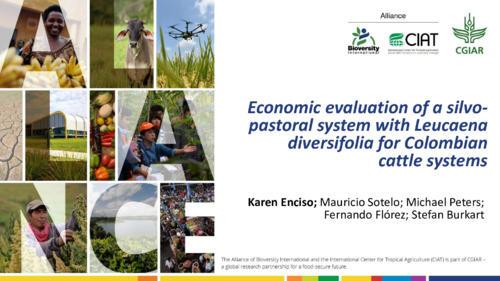 Economic evaluation of a silvo-pastoral system with Leucaena diversifolia for Colombian cattle systems