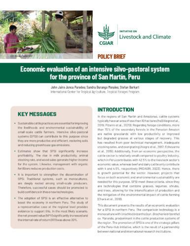 Economic evaluation of an intensive silvo-pastoral system for the province of San Martín, Peru