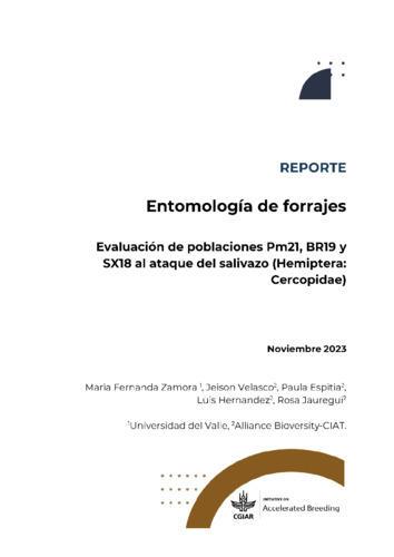 Entomología de forrajes - Evaluación de poblaciones Pm21, BR19 y SX18 al ataque del salivazo (Hemiptera Cercopidae)