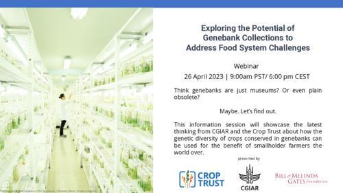 Exploring the potential of genebank collections to address food system challenges