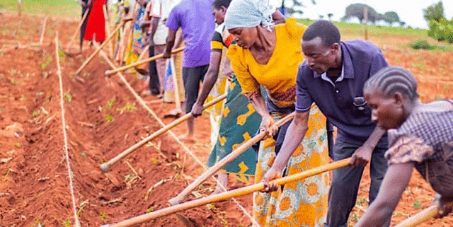 Farmers a training on construction of tied ridges to conserve soil and water as part of the Building Capacity for Resilient Food Security project. (Photo by C. Njuguna. IITA-Tanzania).