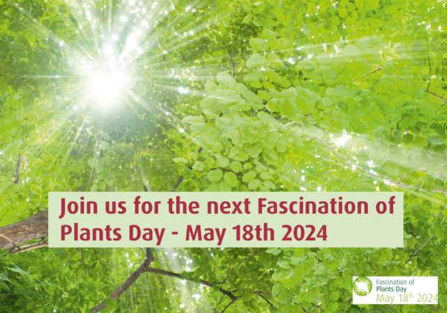 International “Fascination of Plants Day”– a global celebration of plants for May 2024!