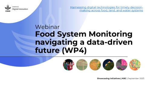 Food System Monitoring navigating a data-driven future (WP4) - Webniar