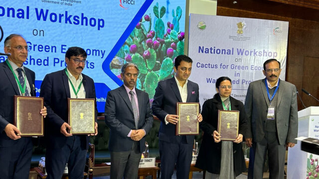 ICARDA Joins Forces with India for Spineless Cactus Cultivation