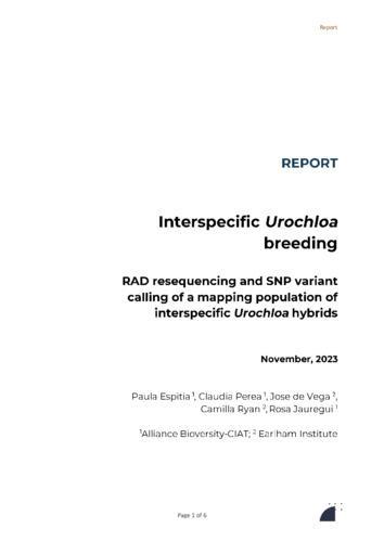 Interspecific Urochloa breeding - RAD resequencing and SNP variant calling of a mapping population of interspecific Urochloa hybrids