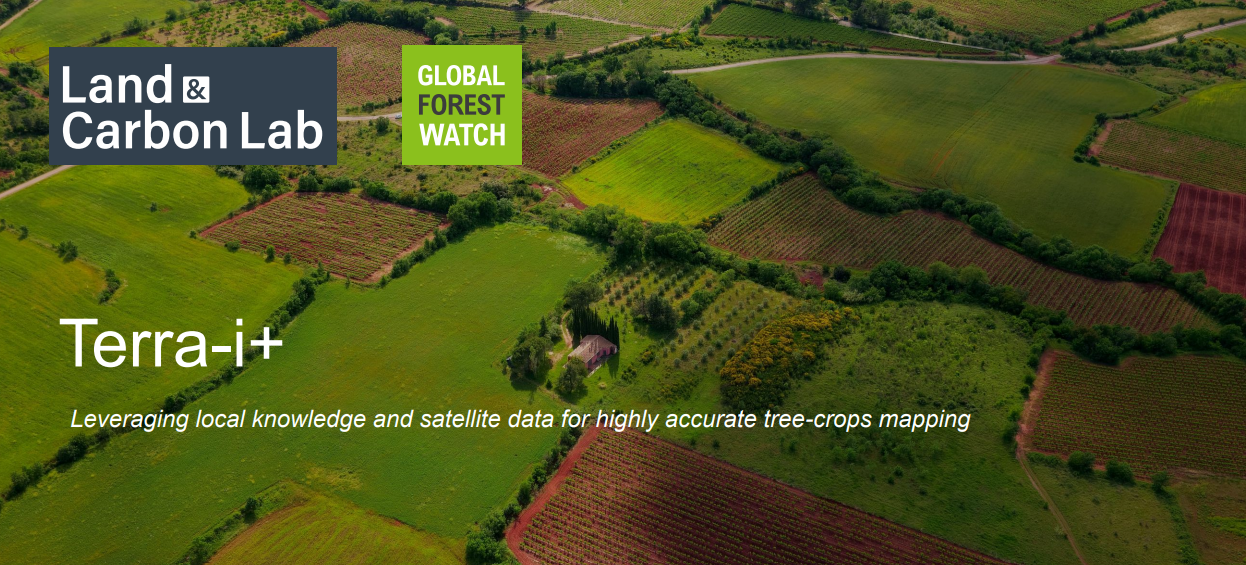 Leveraging local knowledge and satellite data for highly accurate tree-crops mapping
