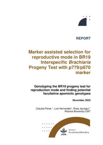 Marker assisted selection for reproductive mode in BR19 Interspecific Brachiaria Progeny Test with p779 p780 marker