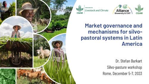 Market governance and mechanisms for silvo-pastoral systems in Latin America