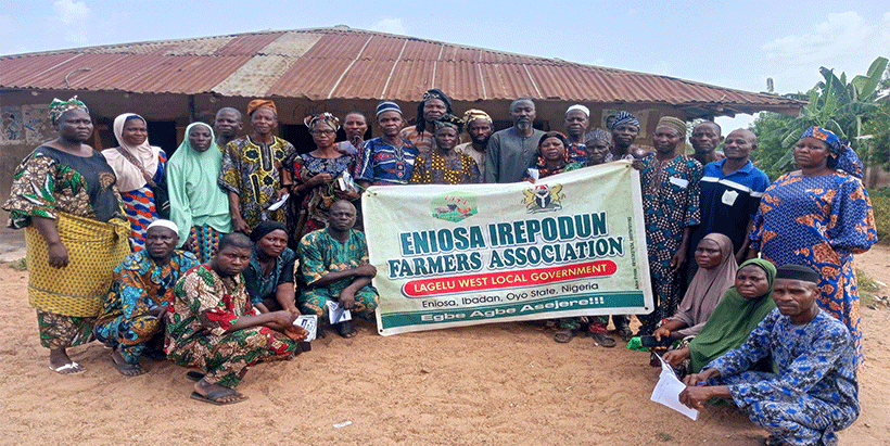 Members of the Eniosa Irepodun Farmers Association.