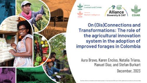 On (Dis)Connections and Transformations - The role of the agricultural innovation system in the adoption of improved forages in Colombia