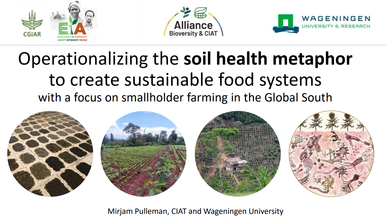 Operationalizing the soil health metaphor to create sustainable food systems, with a focus on smallholder farming in the Global South