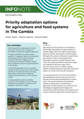 Priority adaptation options for agriculture and food systems in The Gambia