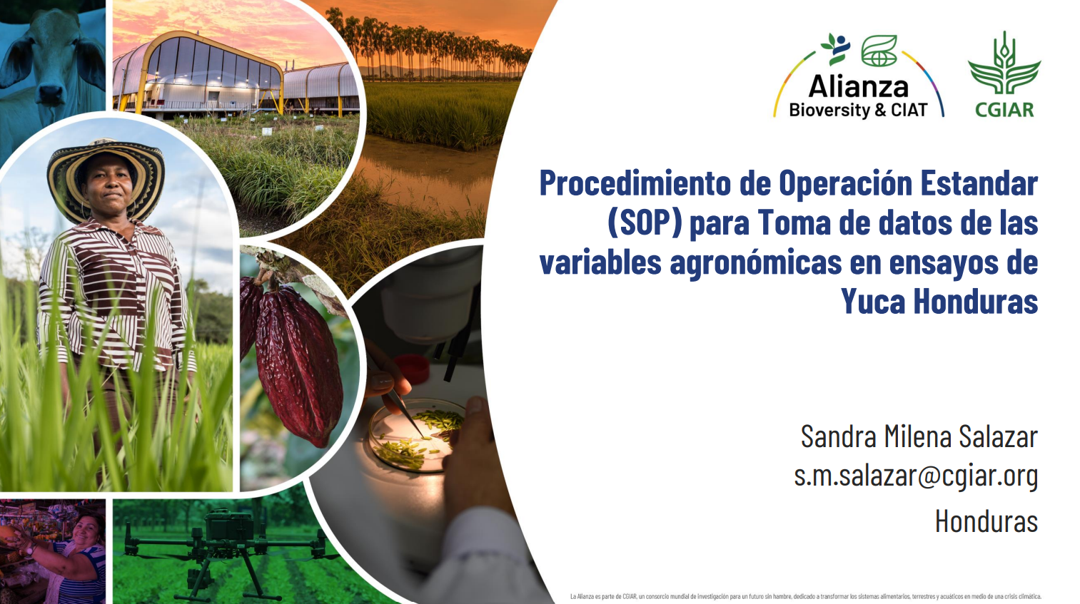 Procedimiento de Operación Estandar (SOP) para toma de datos de las variables agronómicas en ensayos de Yuca Honduras