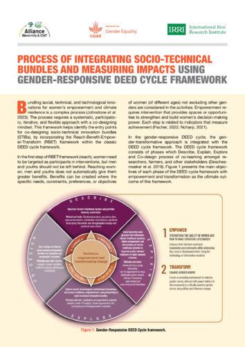 Process of integrating socio-technical bundles and measuring impacts using gender-responsive deed cycle framework