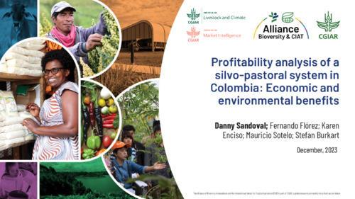 Profitability analysis of a silvo-pastoral system in Colombia: Economic and environmental benefits