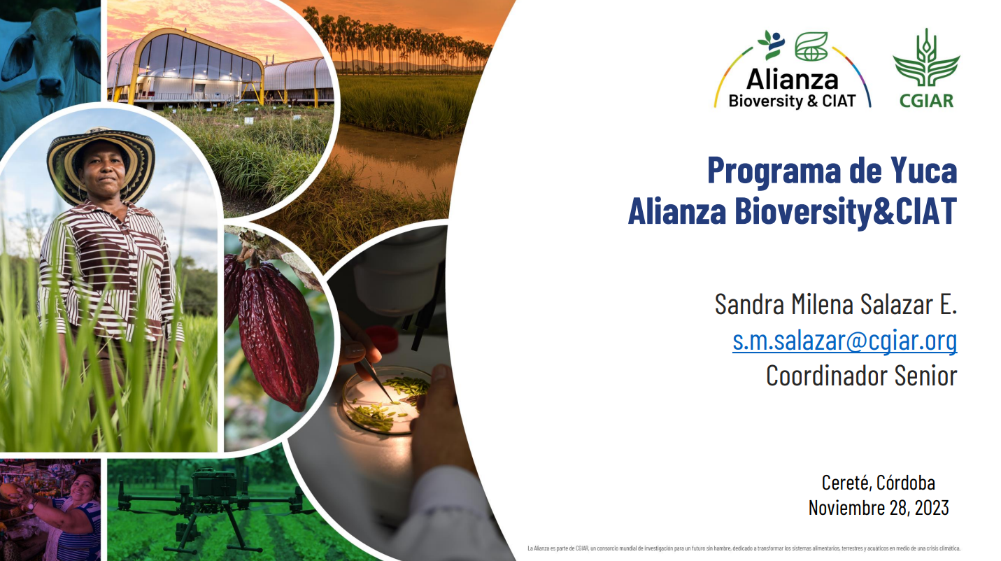 Programa de Yuca - Alianza Bioversity & CIAT