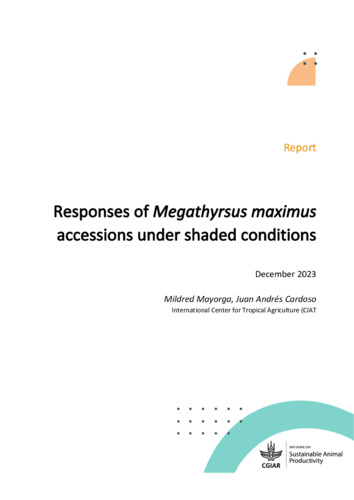 Responses of Megathyrsus maximus accessions under shaded conditions