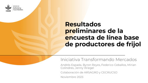 Resultados preliminares de la encuesta de línea base de productores de frijol: Honduras