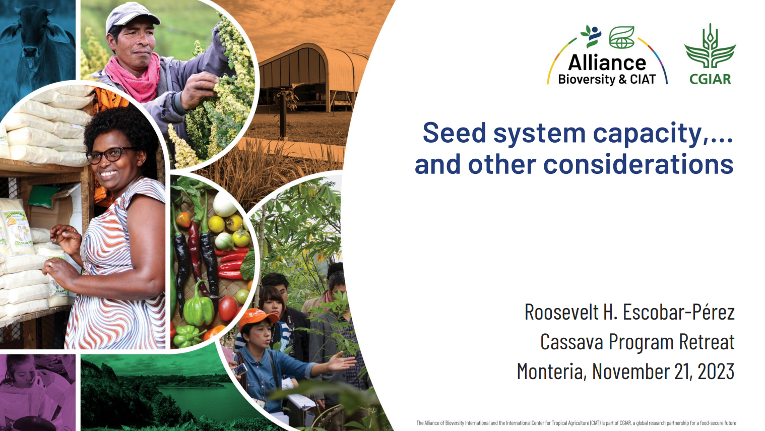Seed system capacity and other considerations