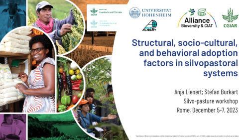 Structural, socio-cultural, and behavioral adoption factors in silvopastoral systems