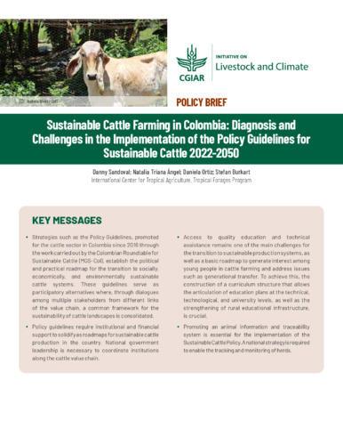 Sustainable cattle farming in Colombia - Diagnosis and challenges in the implementation of the policy guidelines for sustainable cattle 2022-2050