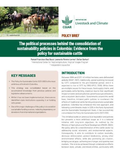 The political processes behind the consolidation of sustainability policies in Colombia: Evidence from the policy for sustainable cattle