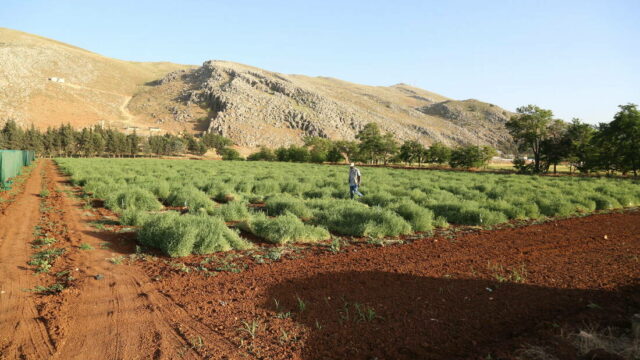 Healthy soil today, resilient world tomorrow