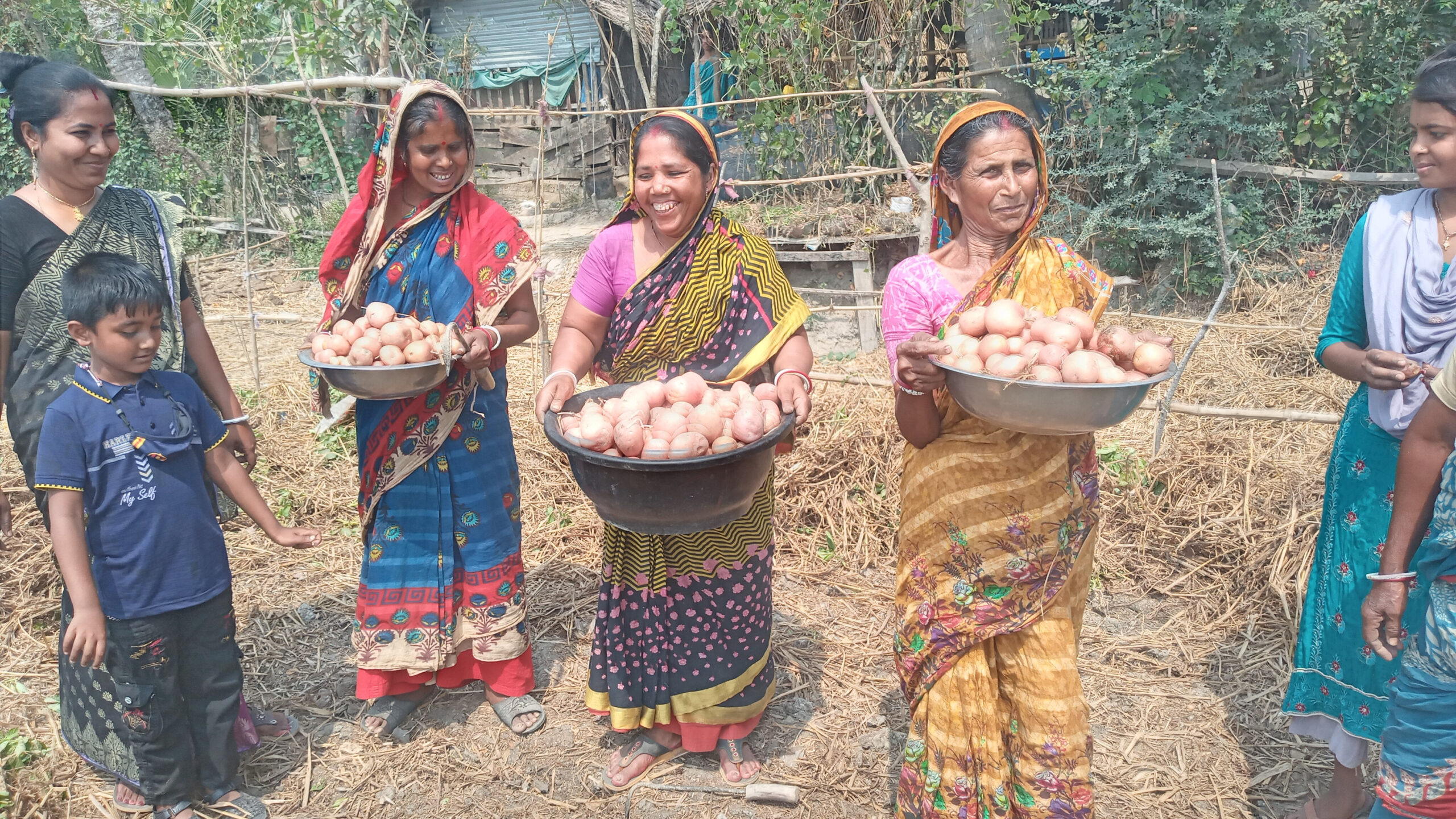 The adoption of the potato zero tillage approach has notable gender implications, providing increased opportunities for women.