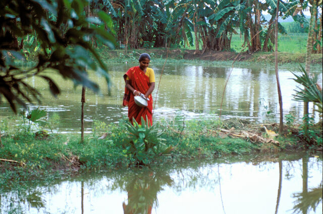 Aquaculture in Bangladesh