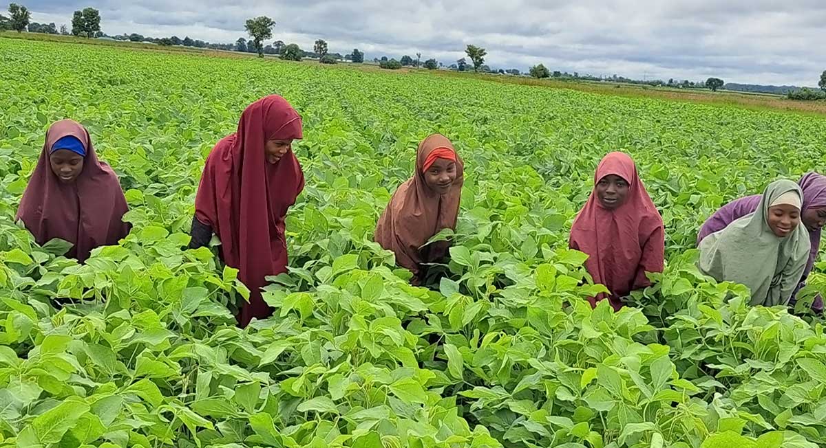 Transforming Nigerian female farmers’ lives through soybean and cowpea production to alleviate poverty