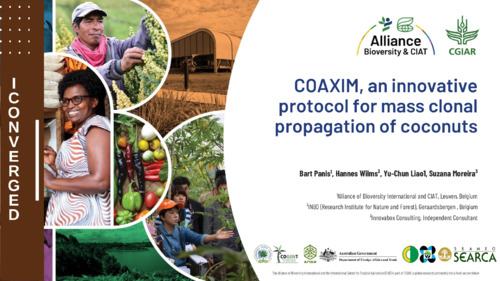 COAXIM, an innovative protocol for mass clonal propagation of coconuts