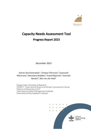 Capacity needs assessment tool - progress report 2023