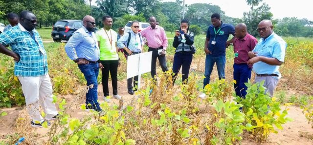 A visit to some of IITA’s soybean field.