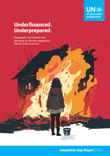 Global progress on adaptation implementation