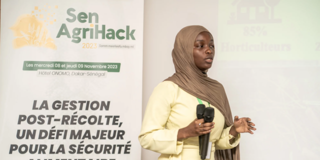 Innovation challenge spark ideas to solve post-harvest losses in Senegal - Alliance Bioversity International - CIAT