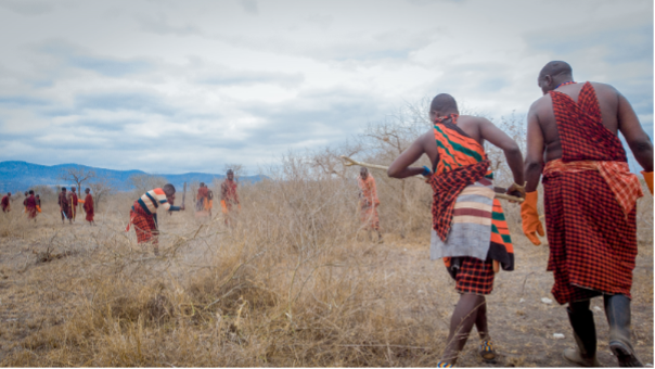 Community members undertaking bush thinning in ALOLLE cluster. Photo by B.Olesikilal.