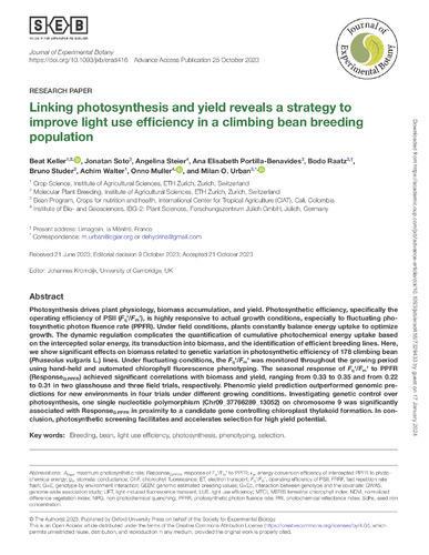 Linking photosynthesis and yield reveals a strategy to improve light use efficiency in a climbing bean breeding population