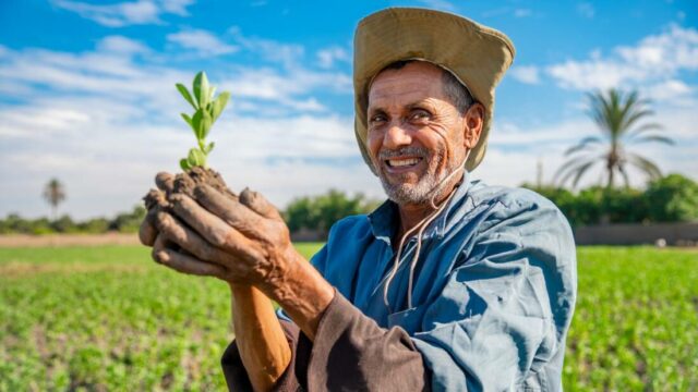 Growing Food Against the Odds: The iNASHR Success Story