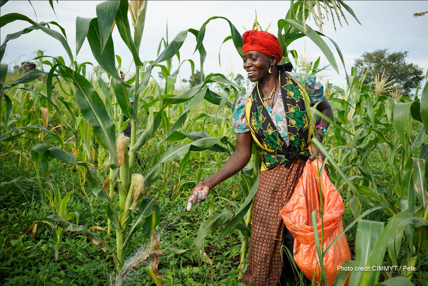 Fertilizer & Soil Health in Africa - Research & Policy Conference - CGIAR