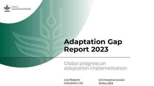 Adaptation Gap Report 2023 - Global progress on adaptation implementation