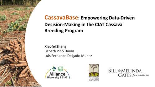 CassavaBase: Empowering data-driven decision-making in the CIAT cassava breeding program