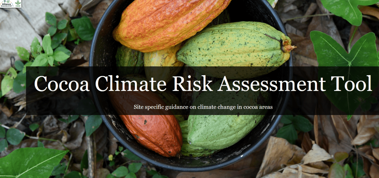 Cocoa climate risk assessment tool: Site specific guidance on climate change in cocoa areas