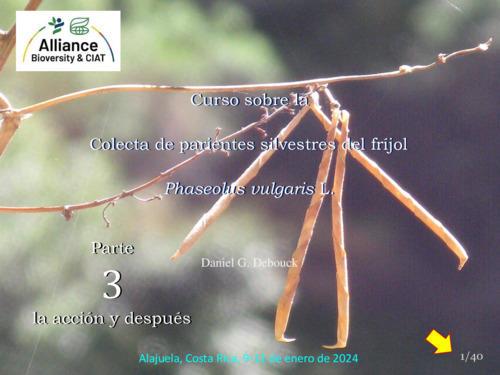 Curso sobre la colecta de parientes silvestres de frijol Phaseolus vulgaris L. Alajuela, Costa Rica.