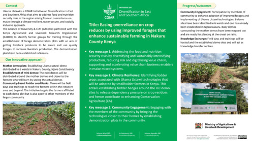 Easing overreliance on crop reduces by using improved forages that enhance sustainable farming in Nakuru County Kenya