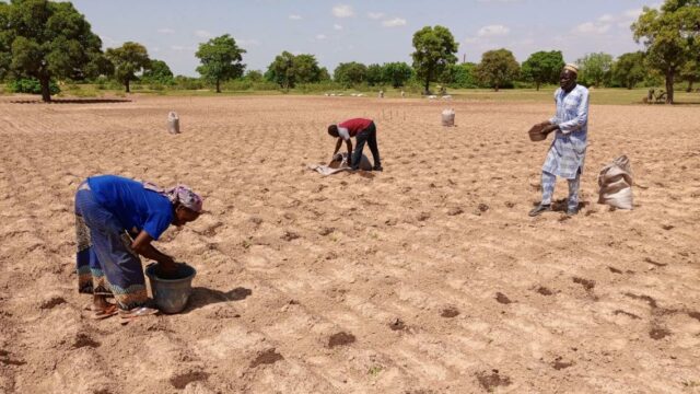 Farmers in Burkina Faso