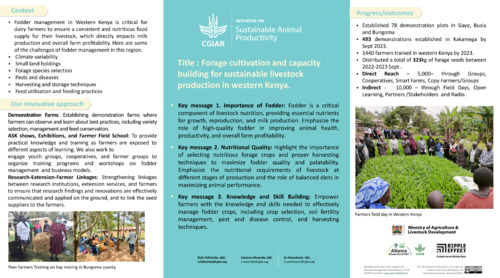 Forage cultivation and capacity building for sustainable livestock production in Western Kenya