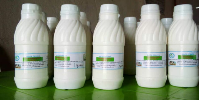 Milk packaged for sale from an improved outlet.